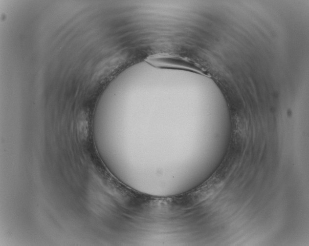 X0000089400080200707061239