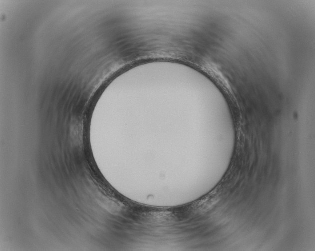 X0000089400108200707061238