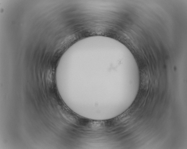 X0000089400126200707061238