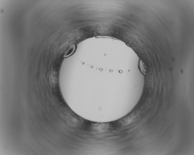 X0000089400135200707061238