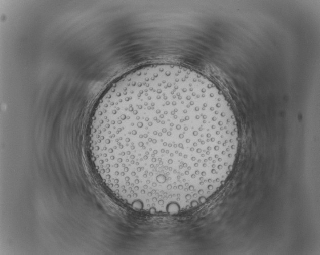 X0000089400145200707061237