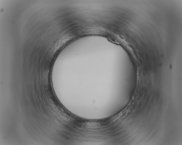 X0000089400154200707061237