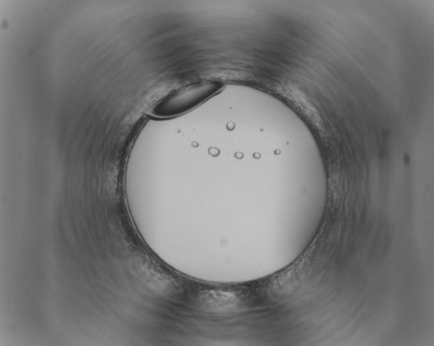 X0000089400159200707061237