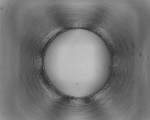 X0000089400164200707061237