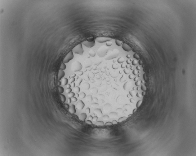X0000089400169200707061237