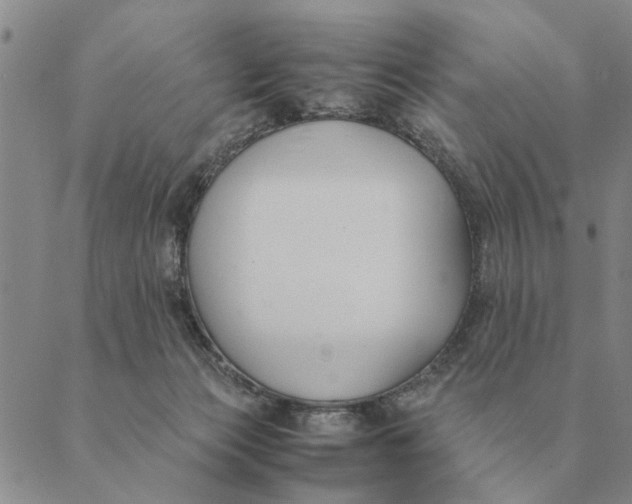 X0000089400173200707061237