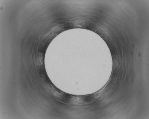 X0000089400174200707061237