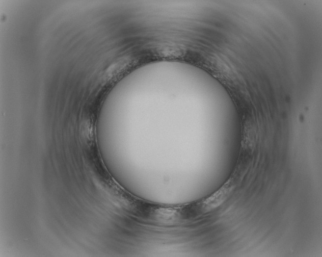 X0000089400176200707061237