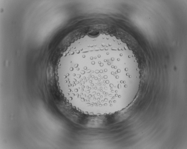 X0000089400191200707061238