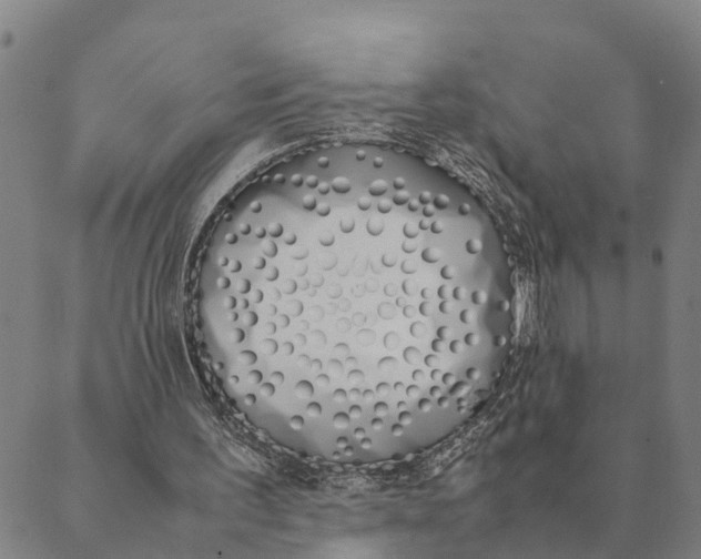 X0000089400195200707061237