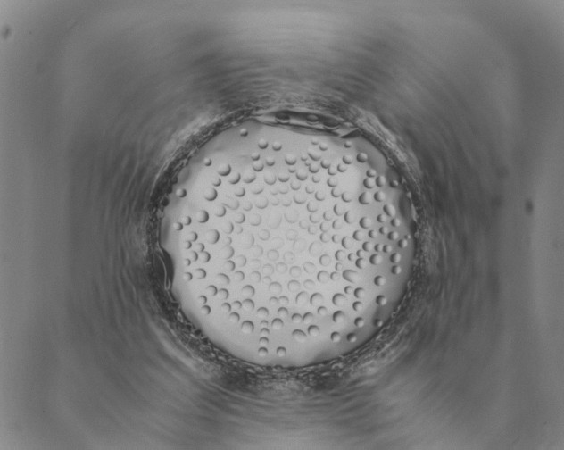X0000089400203200707061237