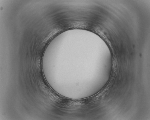 X0000089400249200707061236