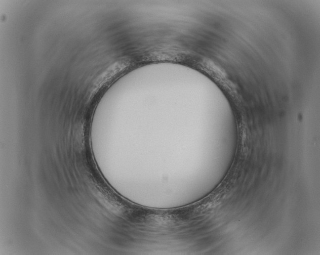 X0000089400250200707061236