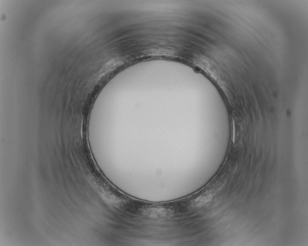X0000089400253200707061236