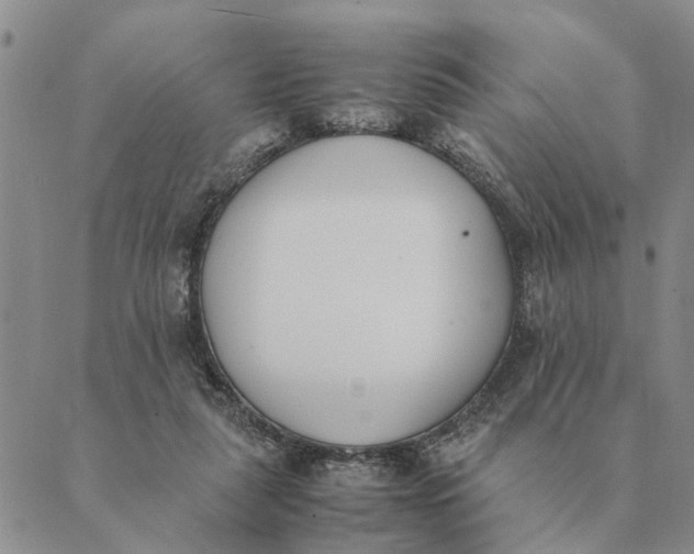 X0000089400259200707061236