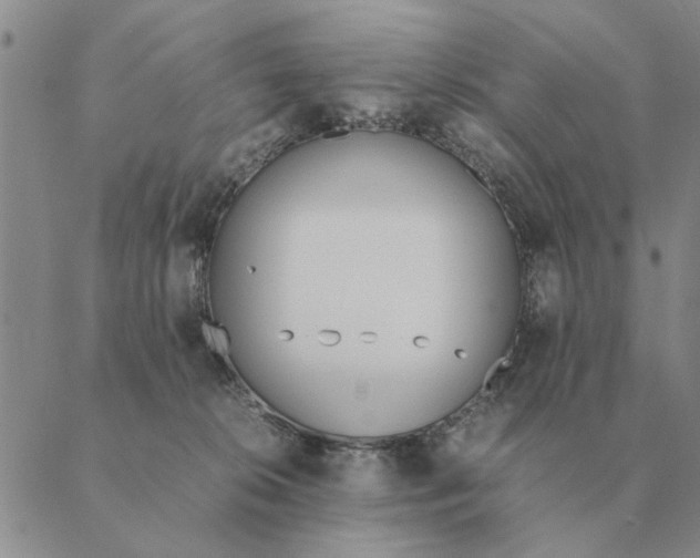 X0000089400276200707061236