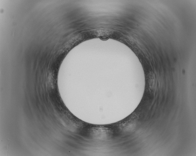 X0000089400316200707061235
