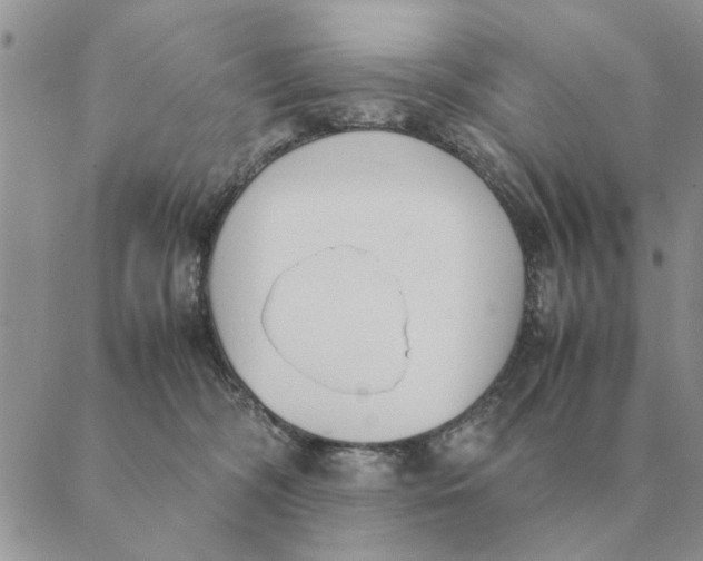 X0000089400326200707061235