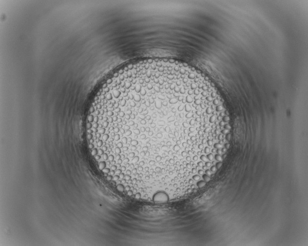 X0000089400351200707061234