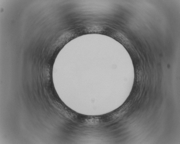 X0000089400362200707061234