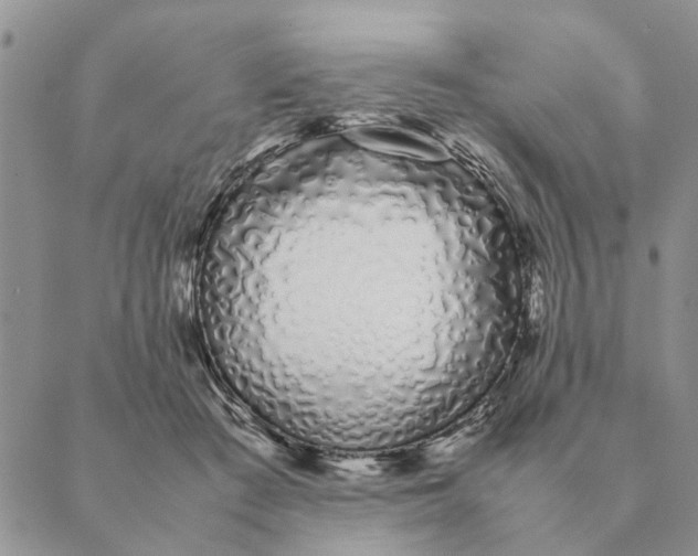 X0000089400409200707061233