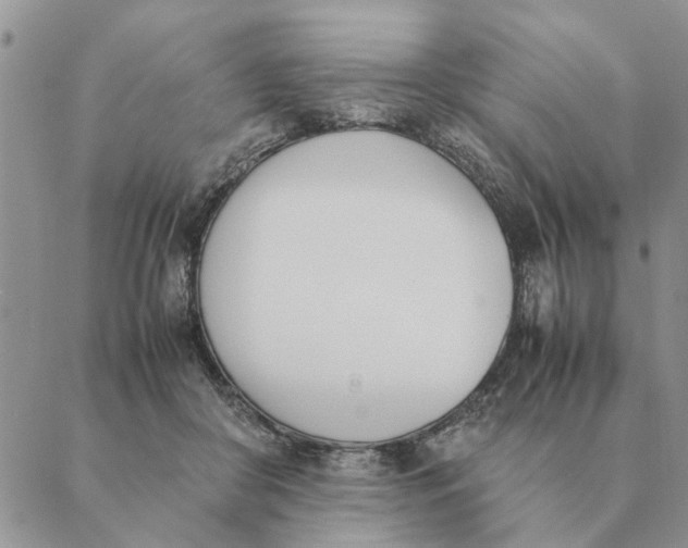 X0000089400410200707061233