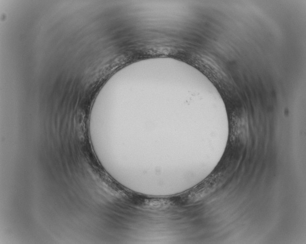 X0000089400414200707061233