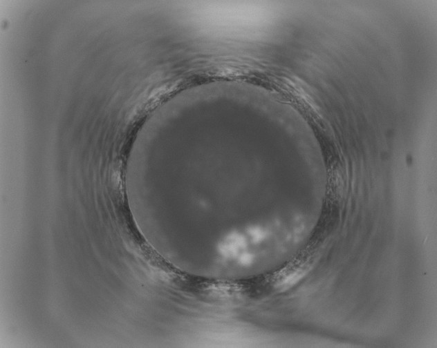 X0000089400415200707061233