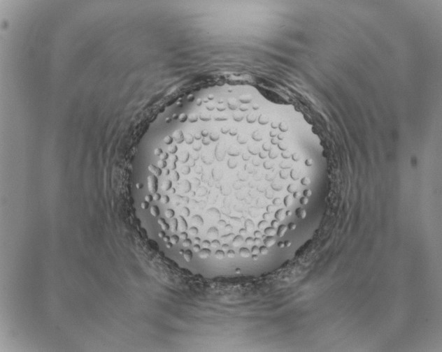 X0000089400417200707061233