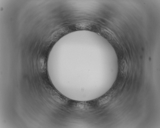 X0000089400420200707061233