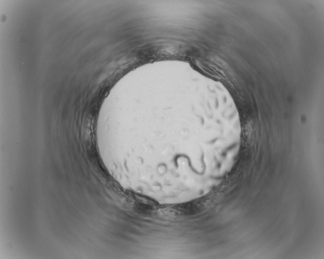 X0000089400423200707061233