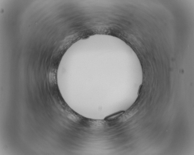 X0000089400432200707061233