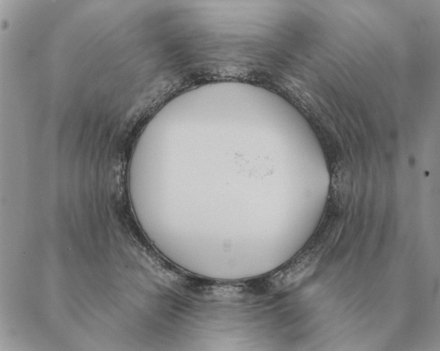 X0000089400462200707061233