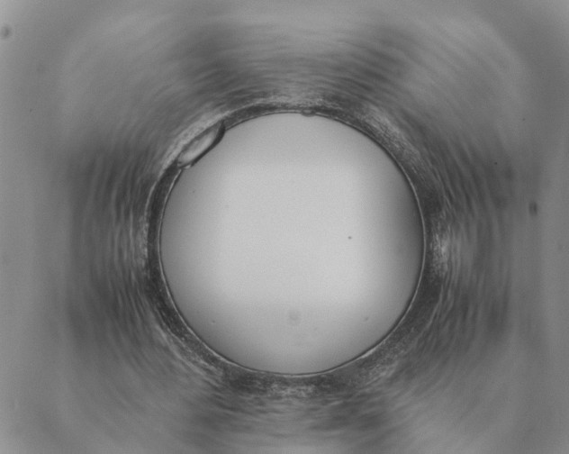 X0000089400484200707061232