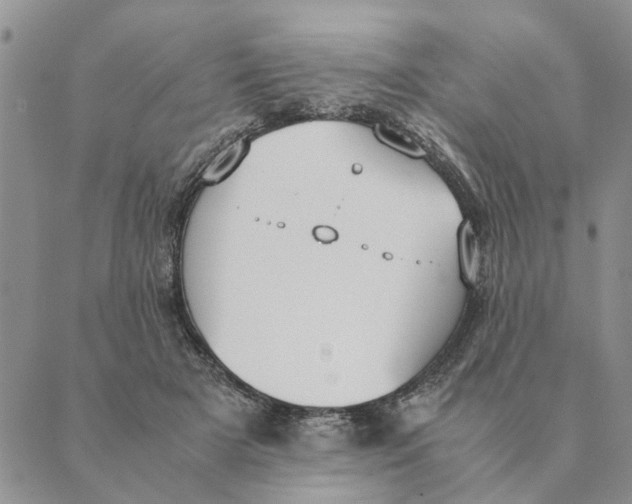X0000089400505200707061232