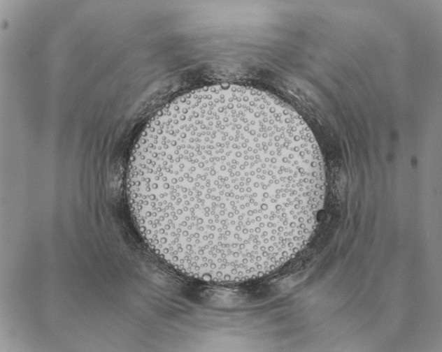 X0000089400507200707061232