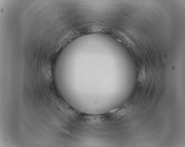 X0000089400524200707061232