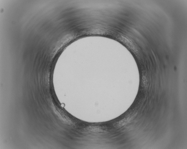 X0000089400534200707061231