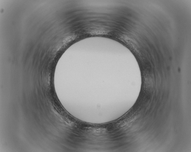 X0000089400539200707061231