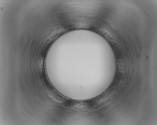 X0000089400550200707061231