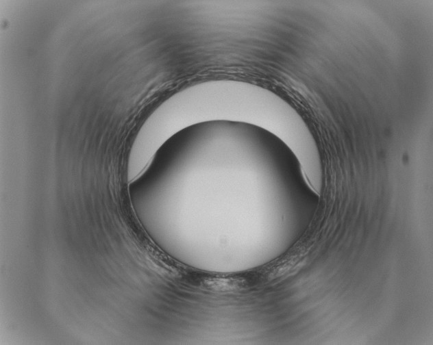 X0000089400558200707061231