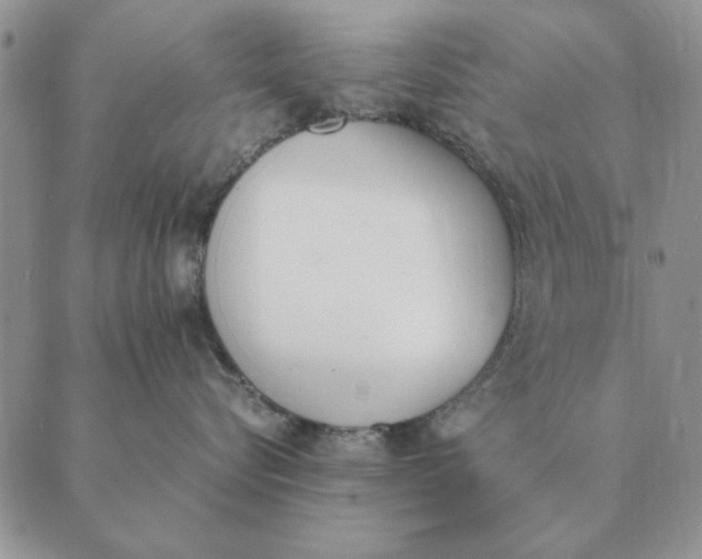 X0000089400576200707061231