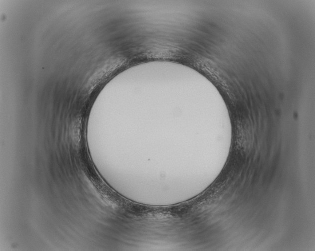 X0000089400586200707061231
