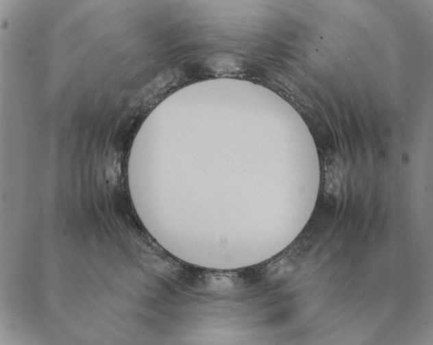 X0000089400618200707061230