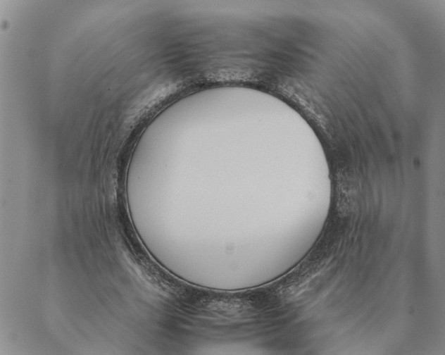 X0000089400631200707061229