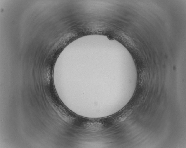 X0000089400644200707061229
