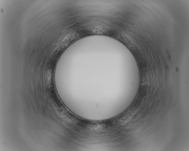 X0000089400646200707061230