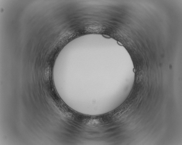 X0000089400647200707061230