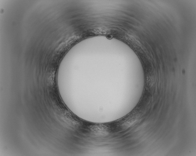 X0000089400652200707061230