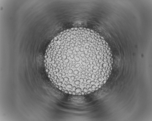X0000089400659200707061230